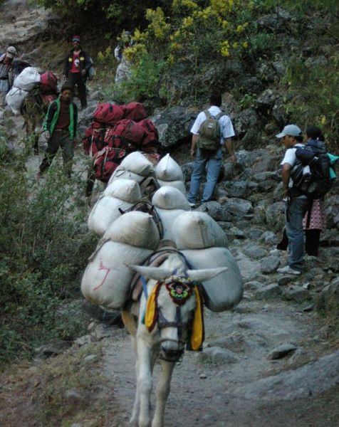 Поездка в Непал, (Круговой трек вокруг Аннапурны) Annapurna Circuit Trek, часть 1.