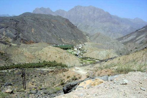 Дайвинг в Омане