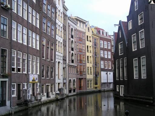 В Амстердаме бузина