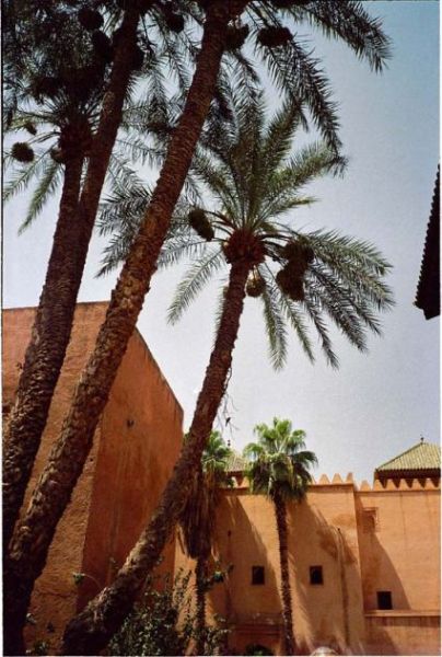 Океан, пустыня и средневековые города Марокко