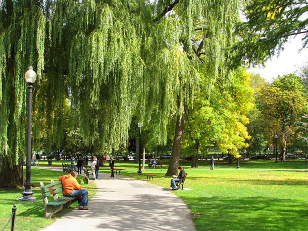Boston. Boston Common Park. Public Gardens.