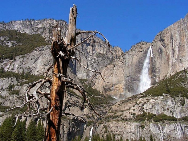 California. Yosemite Falls.