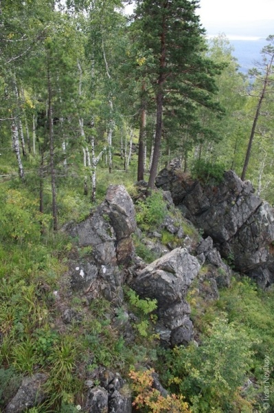 Ежовая гора. 2009 год.