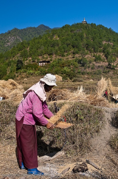Бутанское производство риса