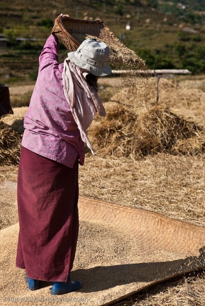 Бутанское производство риса