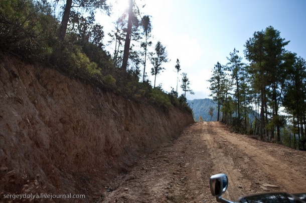 Бутанские дороги, еда и собаки