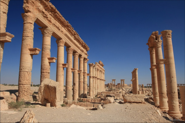 Сирия за 15 дней. ч.4 Пальмира