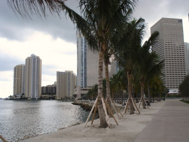 Downtown Miami, 311