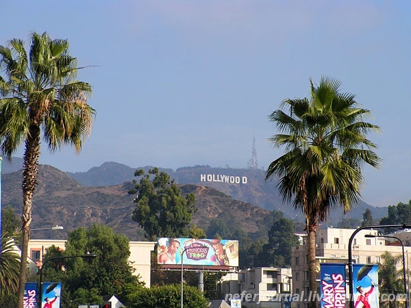 Los Angeles. Hollywood, Beverly Hills. Где поесть и другие интересные точки.