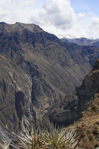 Перу. Колкинский каньон.