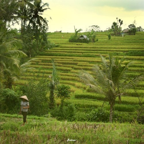Индонезия-Бали. Часть 1.