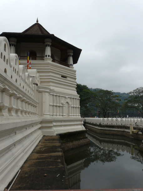 Отдых и экскурсии на Цейлоне в январе 2011 года
