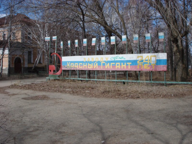 Ваза чертополох красный гигант